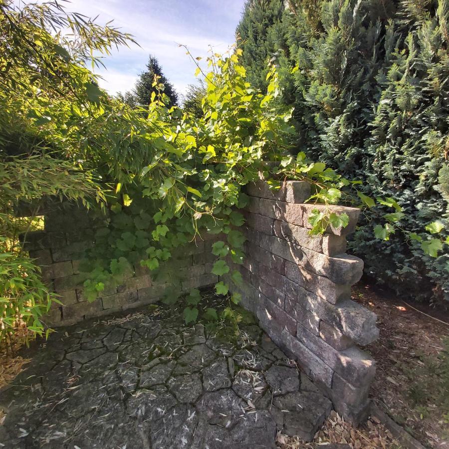 Apartment In Upper Floor In Nature Reserve. Hipstedt Exterior photo